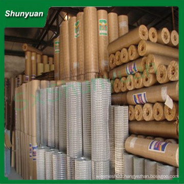 Anping Factory 12 Inch Hot Dipped Galvanized Welded Wire Mesh( ISO9001)